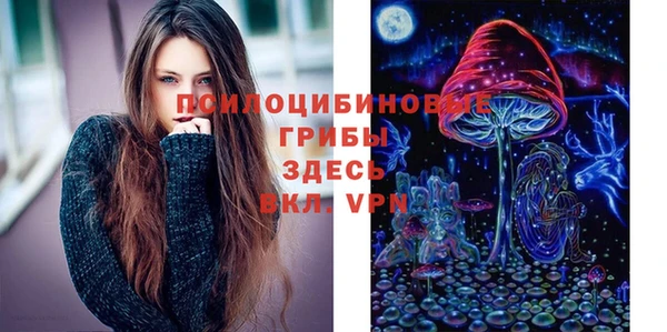сатива Алексин