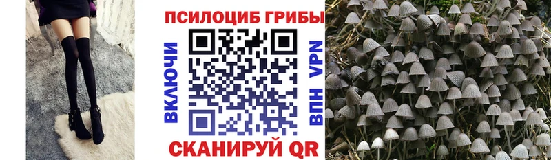 Галлюциногенные грибы мухоморы  закладки  Лабинск 